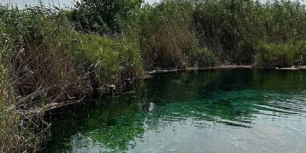 Çeşme ya da Urla değil! Ege’nin ruhunu burada yaşayın: Cam gibi sularla çevrili enfes köy 3